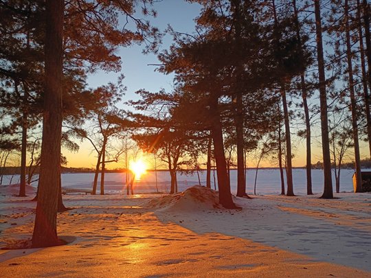 News & Events Information